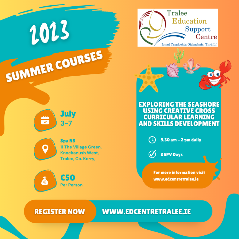 exploring the seashore using creative cross curricular learning and skills development 2023